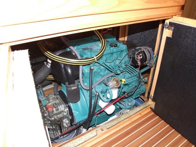 Cigale 16 -44.JPG